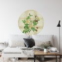 Fototapeta Okrągła Rycina Botaniczna W Stylu Vintage Ii Fototapeta Okrągła Rycina Botaniczna W Stylu Vintage Ii