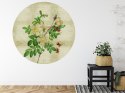 Fototapeta Okrągła Rycina Botaniczna W Stylu Vintage Ii Fototapeta Okrągła Rycina Botaniczna W Stylu Vintage Ii