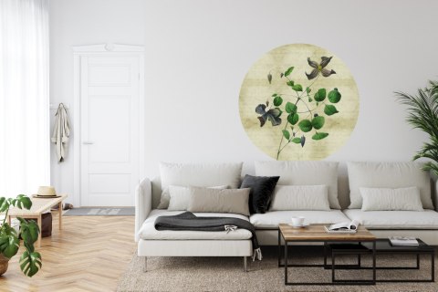 Fototapeta Okrągła Rycina Botaniczna W Stylu Vintage Iii Fototapeta Okrągła Rycina Botaniczna W Stylu Vintage Iii