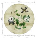 Fototapeta Okrągła Rycina Botaniczna W Stylu Vintage Iii