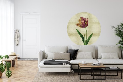 Fototapeta Okrągła Rycina Botaniczna W Stylu Vintage Iv Fototapeta Okrągła Rycina Botaniczna W Stylu Vintage Iv
