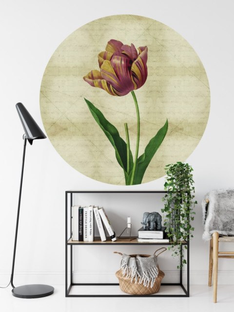 Fototapeta Okrągła Rycina Botaniczna W Stylu Vintage Iv Fototapeta Okrągła Rycina Botaniczna W Stylu Vintage Iv