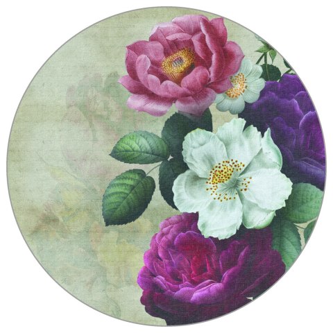 Fototapeta Okrągła Rycina Botaniczna W Stylu Vintage V Fototapeta Okrągła Rycina Botaniczna W Stylu Vintage V