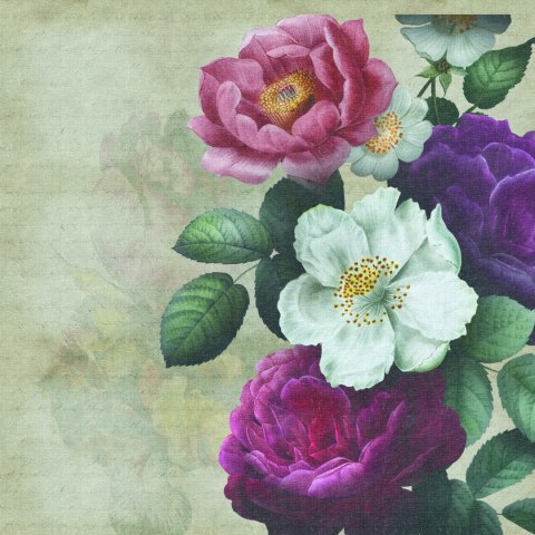 Fototapeta Okrągła Rycina Botaniczna W Stylu Vintage V Fototapeta Okrągła Rycina Botaniczna W Stylu Vintage V