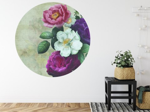 Fototapeta Okrągła Rycina Botaniczna W Stylu Vintage V Fototapeta Okrągła Rycina Botaniczna W Stylu Vintage V
