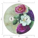 Fototapeta Okrągła Rycina Botaniczna W Stylu Vintage V Fototapeta Okrągła Rycina Botaniczna W Stylu Vintage V