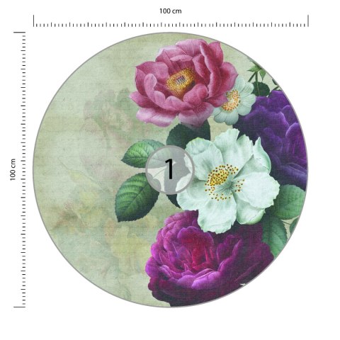 Fototapeta Okrągła Rycina Botaniczna W Stylu Vintage V Fototapeta Okrągła Rycina Botaniczna W Stylu Vintage V