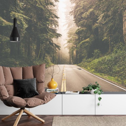 Fototapeta Droga W Amerykańskim Lesie Fototapeta Droga W Amerykańskim Lesie