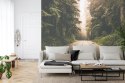 Fototapeta Droga W Amerykańskim Lesie Fototapeta Droga W Amerykańskim Lesie