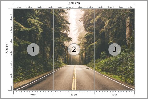 Fototapeta Droga W Amerykańskim Lesie Fototapeta Droga W Amerykańskim Lesie