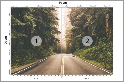 Fototapeta Droga W Amerykańskim Lesie Fototapeta Droga W Amerykańskim Lesie