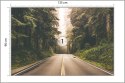 Fototapeta Droga W Amerykańskim Lesie Fototapeta Droga W Amerykańskim Lesie