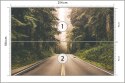 Fototapeta Droga W Amerykańskim Lesie Fototapeta Droga W Amerykańskim Lesie
