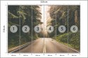 Fototapeta Droga W Amerykańskim Lesie Fototapeta Droga W Amerykańskim Lesie