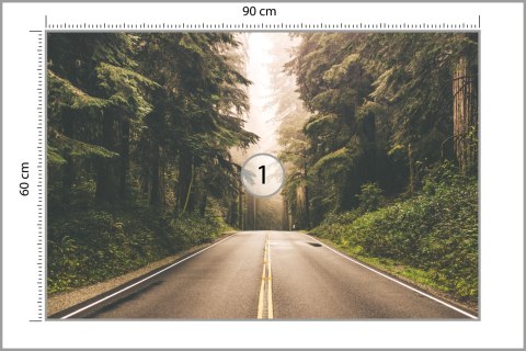 Fototapeta Droga W Amerykańskim Lesie Fototapeta Droga W Amerykańskim Lesie