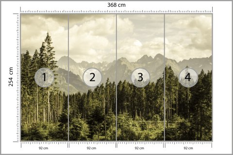 Fototapeta Las Góry Fototapeta Las Góry