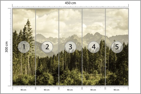 Fototapeta Las Góry Fototapeta Las Góry