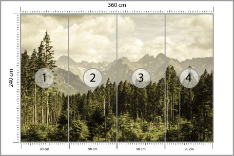 Fototapeta Las Góry Fototapeta Las Góry