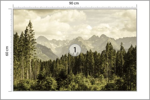 Fototapeta Las Góry Fototapeta Las Góry
