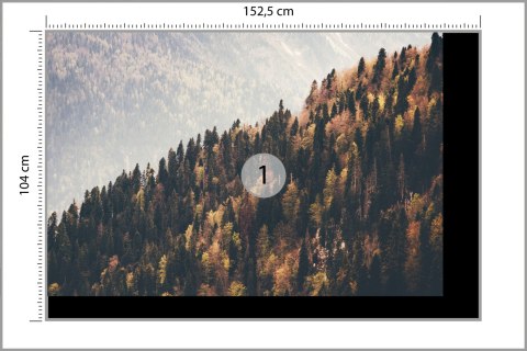 Fototapeta Las Góry Fototapeta Las Góry