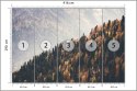 Fototapeta Las Góry