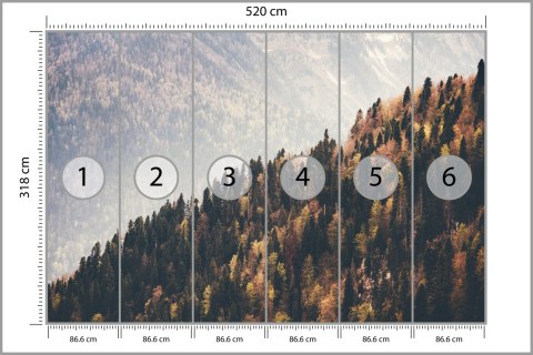 Fototapeta Las Góry Fototapeta Las Góry