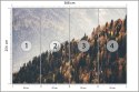 Fototapeta Las Góry
