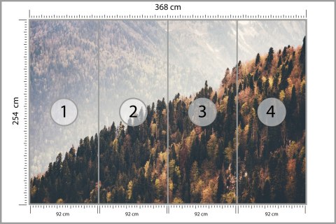 Fototapeta Las Góry Fototapeta Las Góry