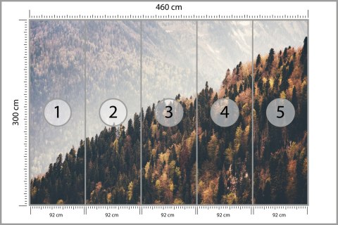 Fototapeta Las Góry Fototapeta Las Góry