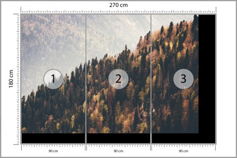 Fototapeta Las Góry Fototapeta Las Góry