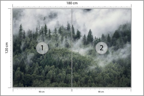 Fototapeta Las W Porannej Mgle Fototapeta Las W Porannej Mgle