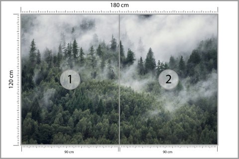 Fototapeta Las W Porannej Mgle Fototapeta Las W Porannej Mgle