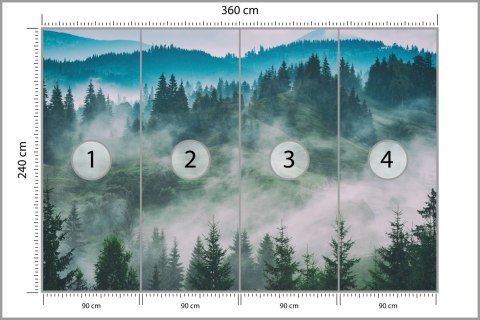 Fototapeta Las We Mgle Fototapeta Las We Mgle