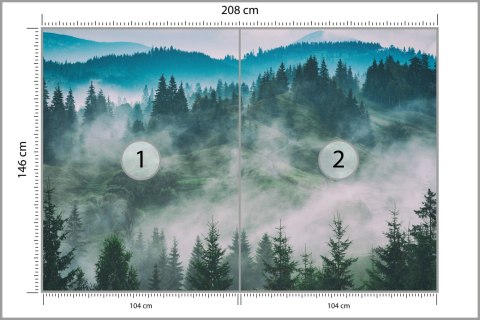Fototapeta Las We Mgle Fototapeta Las We Mgle