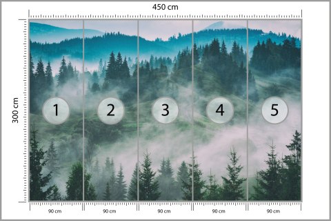 Fototapeta Las We Mgle Fototapeta Las We Mgle