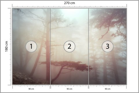 Fototapeta Las We Mgle Fototapeta Las We Mgle