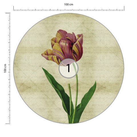 Fototapeta Okrągła Rycina Botaniczna W Stylu Vintage Iv Fototapeta Okrągła Rycina Botaniczna W Stylu Vintage Iv