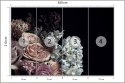 Fototapeta Bukiet W Peoniami I Różami
