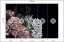 Fototapeta Bukiet W Peoniami I Różami