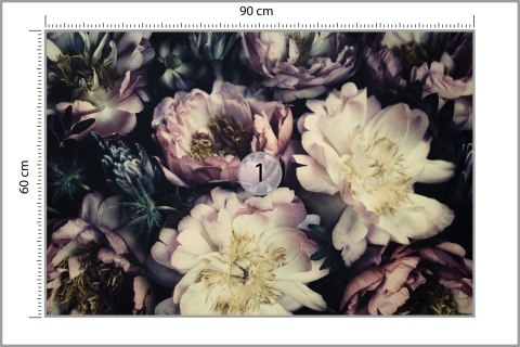 Fototapeta Kolorowe Piwonie Vintage Fototapeta Kolorowe Piwonie Vintage