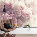 Fototapeta Kwitnące Peonie Fototapeta Kwitnące Peonie