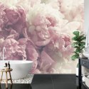 Fototapeta Kwitnące Peonie Fototapeta Kwitnące Peonie
