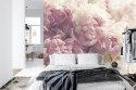 Fototapeta Kwitnące Peonie Fototapeta Kwitnące Peonie