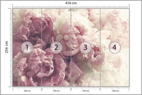 Fototapeta Kwitnące Peonie Fototapeta Kwitnące Peonie