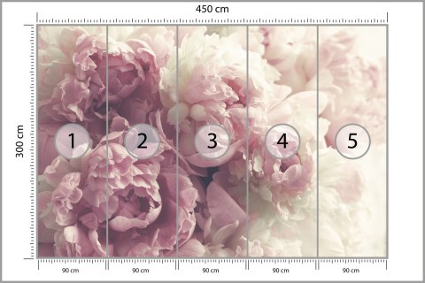 Fototapeta Kwitnące Peonie Fototapeta Kwitnące Peonie