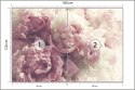 Fototapeta Kwitnące Peonie Fototapeta Kwitnące Peonie