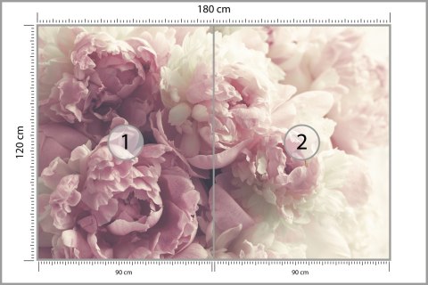 Fototapeta Kwitnące Peonie Fototapeta Kwitnące Peonie