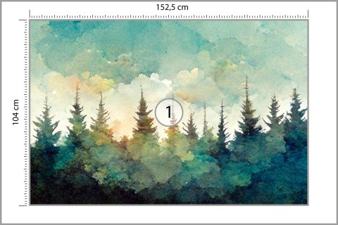 Fototapeta Las Świerkowy Fototapeta Las Świerkowy