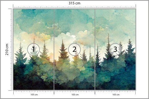 Fototapeta Las Świerkowy Fototapeta Las Świerkowy
