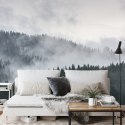 Fototapeta Mglisty Las Sosnowy Fototapeta Mglisty Las Sosnowy
